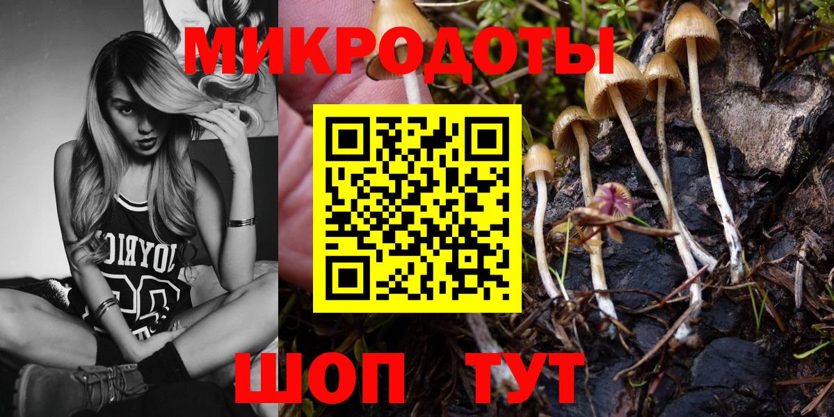 Скопин  Псилоцибиновые грибы Magic Shrooms  Вход с VPN 