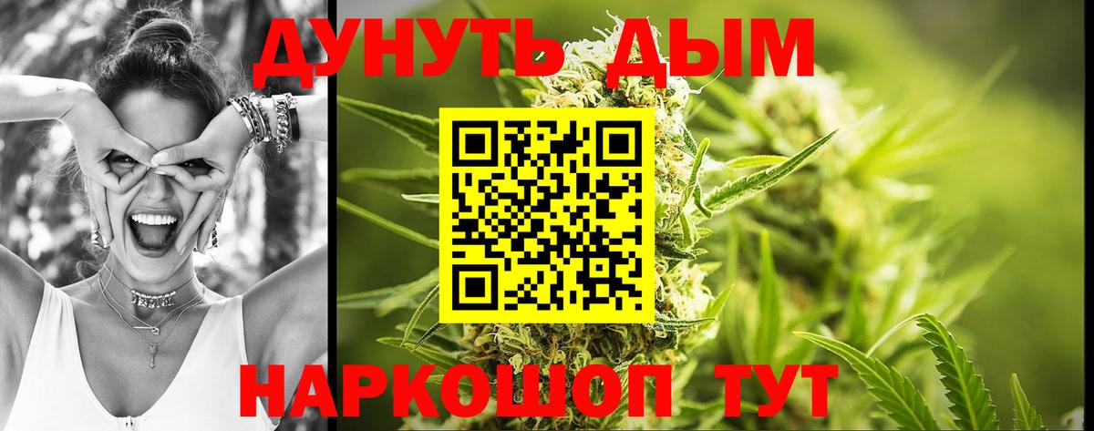 Шишки марихуана планчик  Вход с VPN  Бошки марихуана тримм  Каннабис марихуана  Скопин 